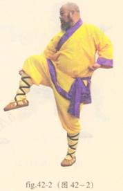 少林心意门拳视频教程,少林长护心意拳图解