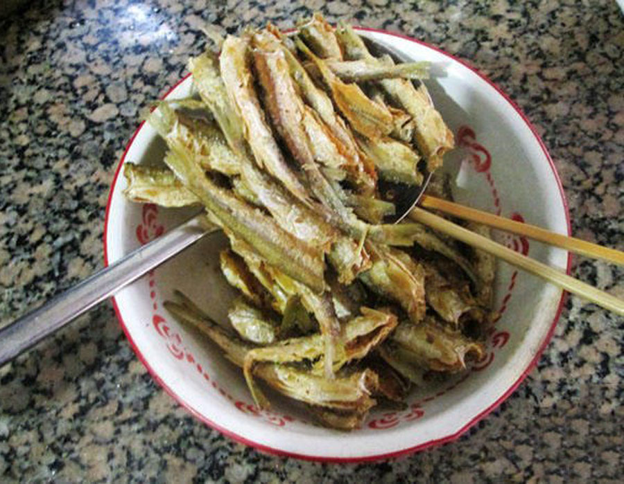 钓白条怎么防止鱼吞钩,白条闹窝对付办法