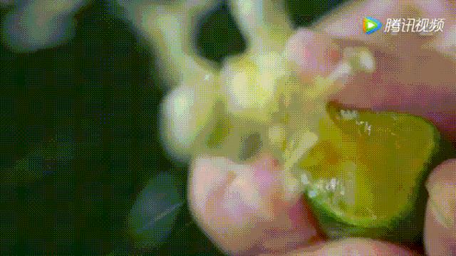 明星投毒吓人事件,深夜放毒招人恨的视频