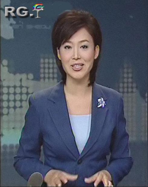 郑丽王端端王嘉宁有何区别