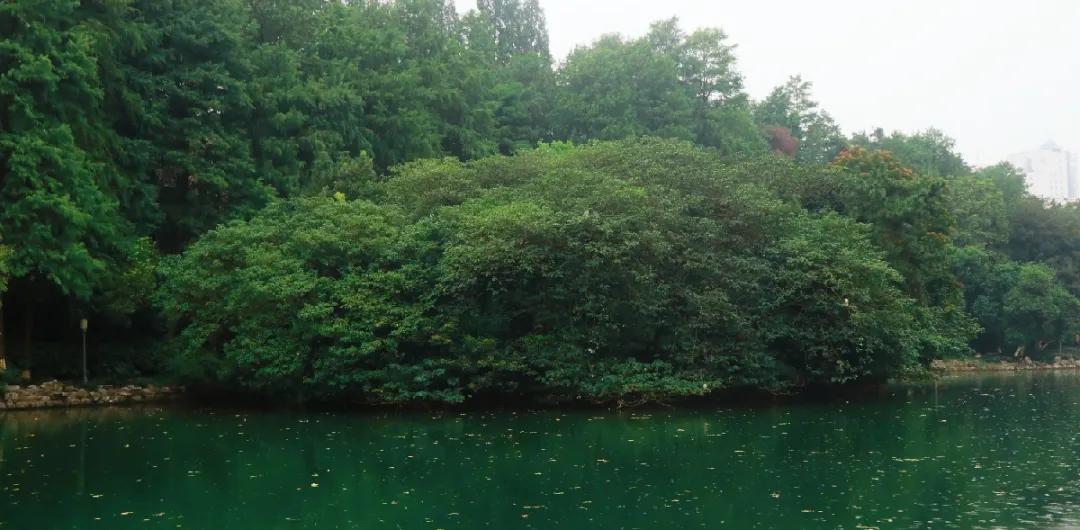 观银河,看银河听风吟的视频