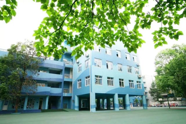 成都泡桐树小学哪个校区最好,泡桐树小学新津校区地理位置