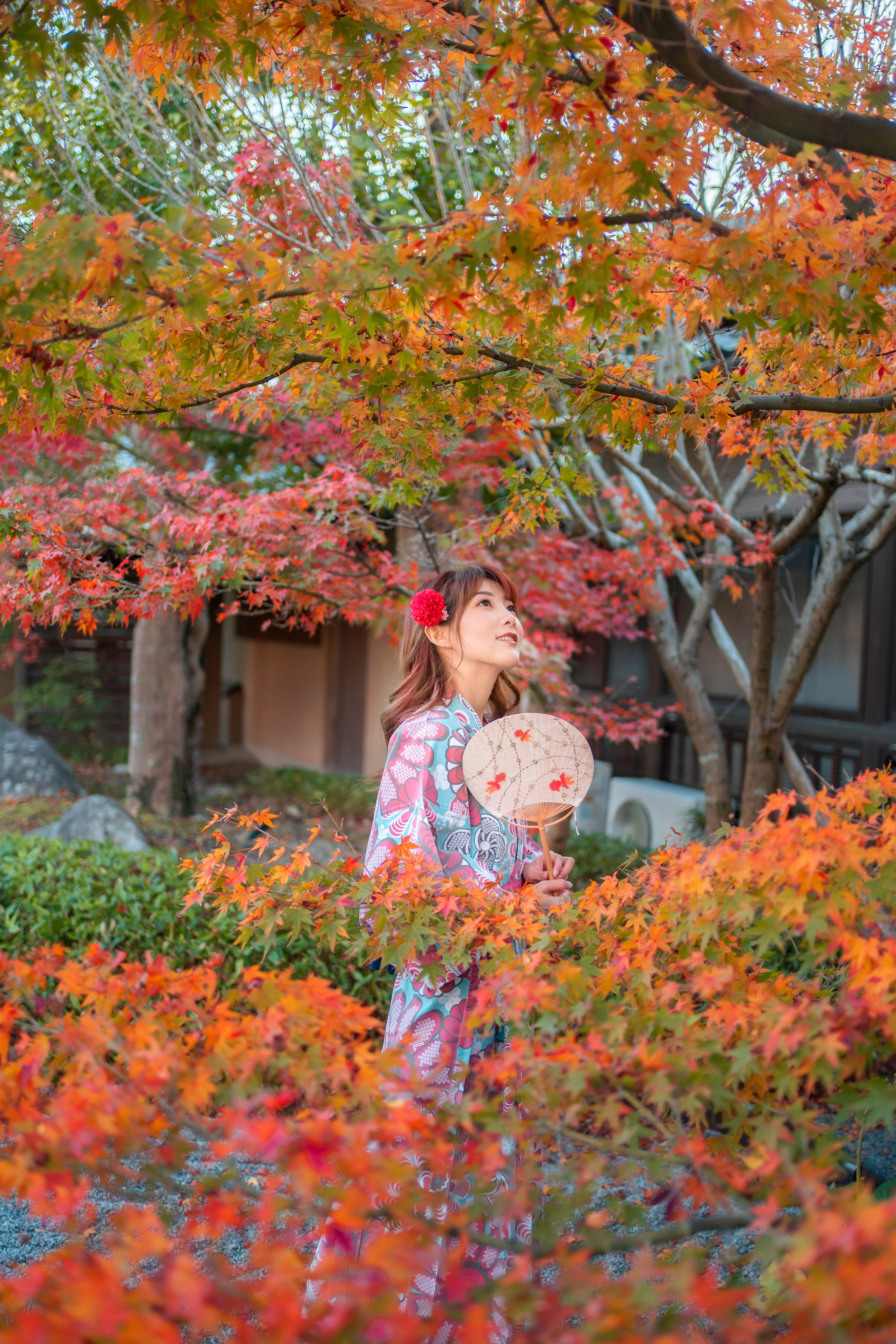 日本九州温泉城市,日本九州岛温泉