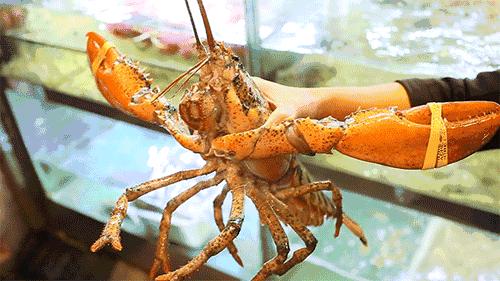 烟台哪里的消费最高,盘点什么烟台最贵