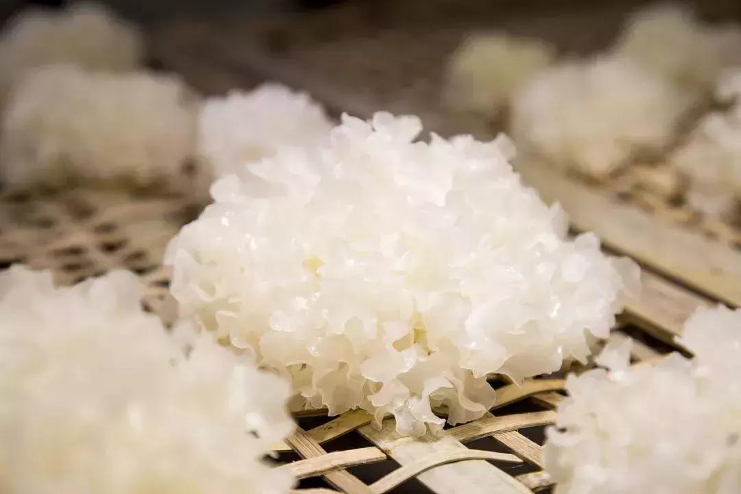 四川巴中为什么被誉为红军之乡,四川巴中出名吗