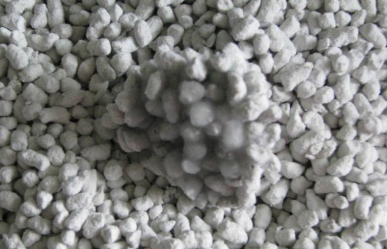 如何教英短蓝猫用猫砂,新手养猫什么猫砂比较好