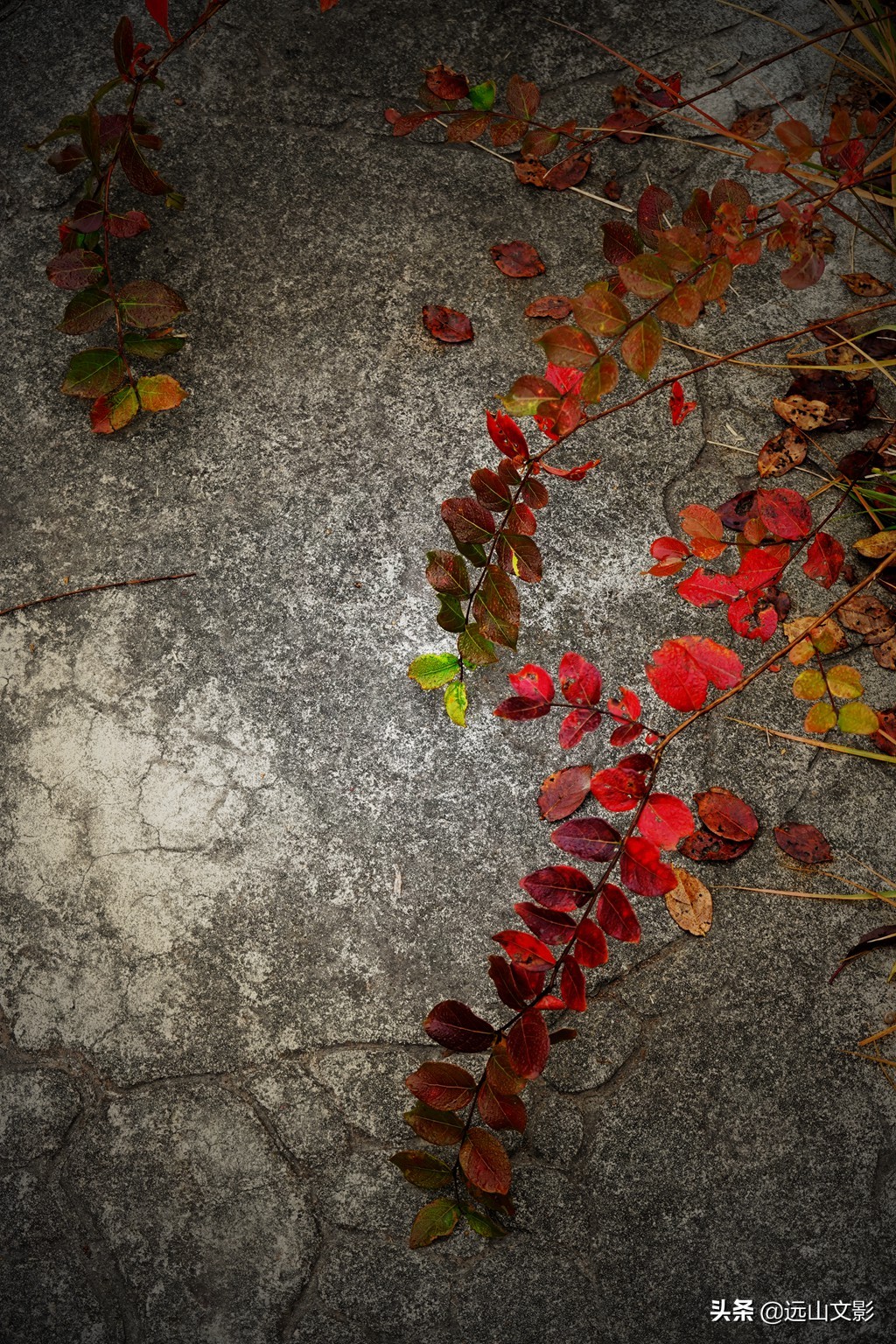 索尼黑卡二怎么拍,索尼黑卡2大光圈拍视频