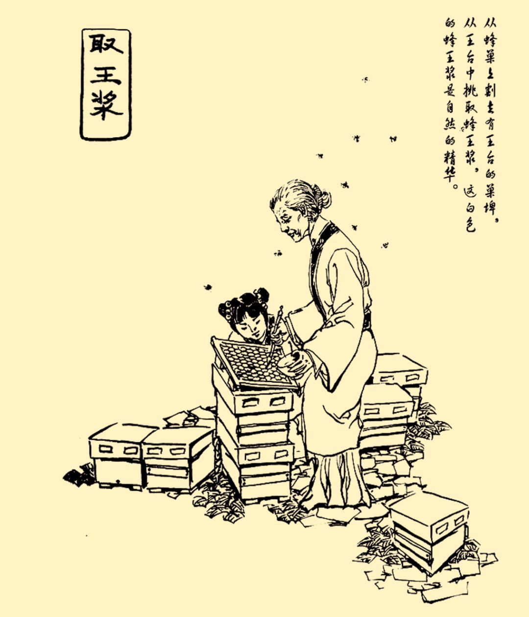 夸赞蜂王浆,你对蜂王浆有什么认识