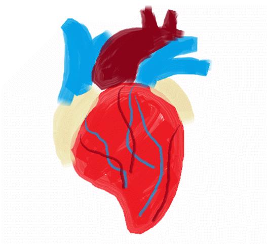 房颤为什么安单腔起搏器,房颤心率过快要装起搏器吗