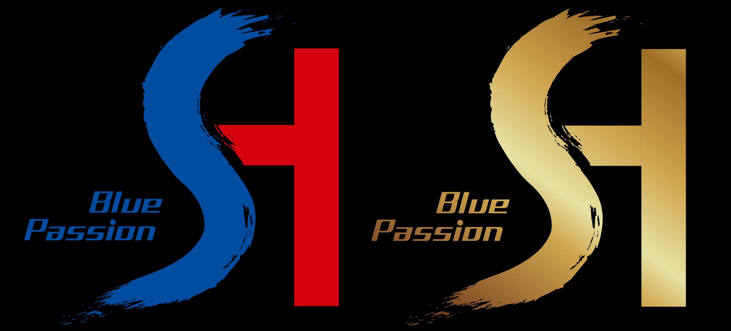 上海申花品牌,上海绿地申花官方旗舰店