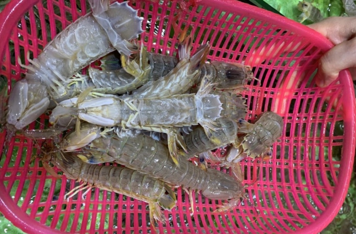 北海干货海鲜批发市场哪个便宜,北海菜市场买海鲜哪个最新鲜