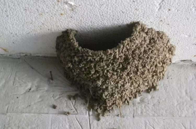 玻璃钢和玻璃鳞片哪个防腐效果好,玻璃钢是有机还是无机