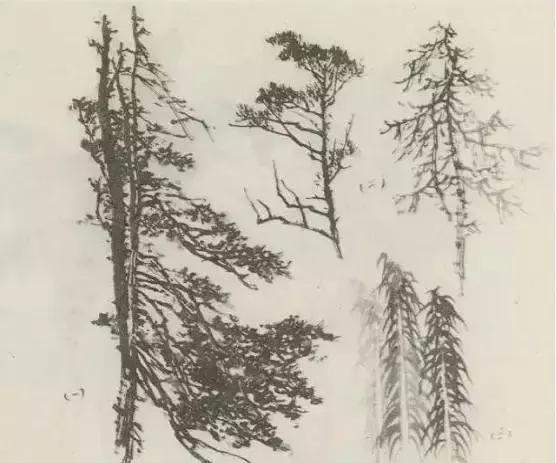 怎么画树最简单而且还最好看,怎么画树才更真实