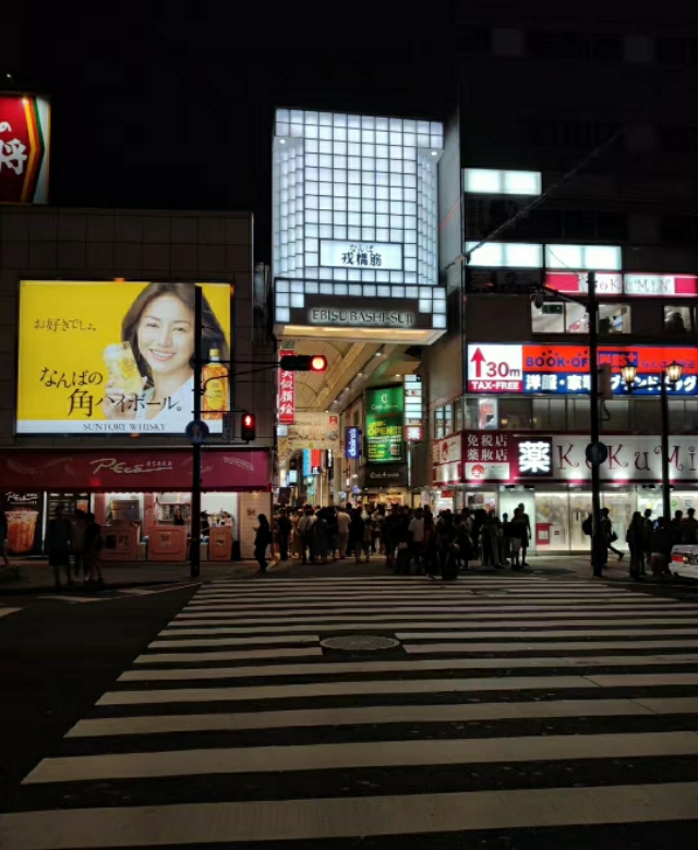 第一次去日本旅游14天怎么安排 (日本7天自由行必备清单)