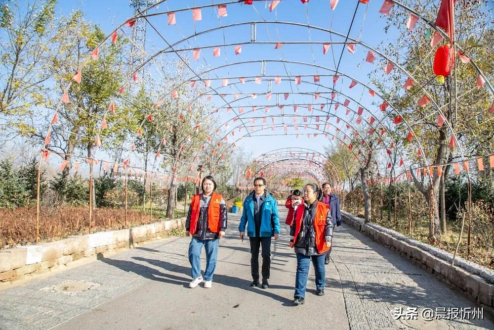 打卡乡村美景,打卡美丽网红村