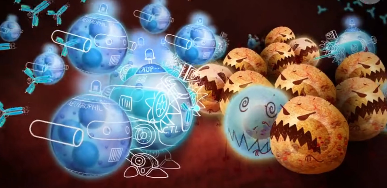 pd1肿瘤免疫治疗现状,什么是pd1免疫治疗费用