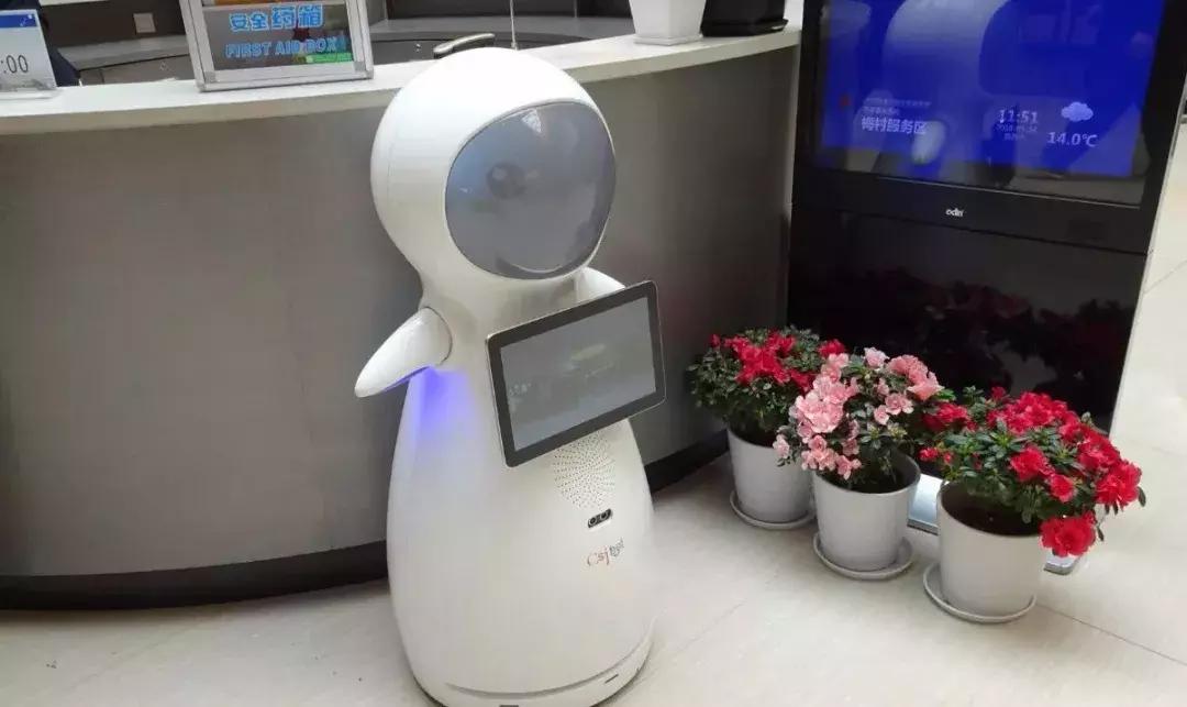 服务区为什么有女性专用停车位,服务区女性专用停车区