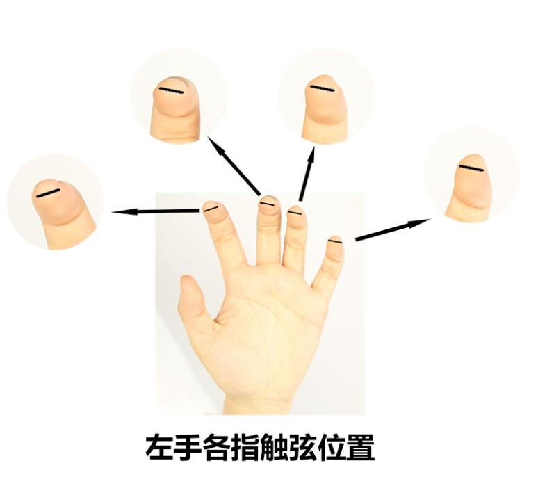 吉他入门零基础弹奏教程,吉他新手入门教程零基础如何弹奏