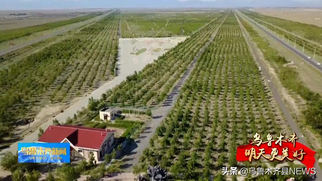 乌鲁木齐县甘沟乡东风村：再恩哈不力·加合甫的健康新生活