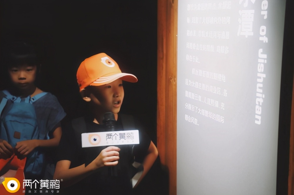 两个黄鹂口才,两个黄鹂口才什么特色