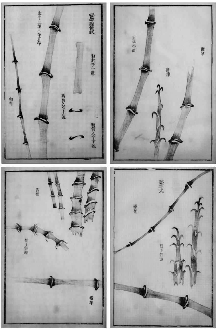 国画知识：竹子不会画？那是你没有学会画这些，学会画竹子很简单