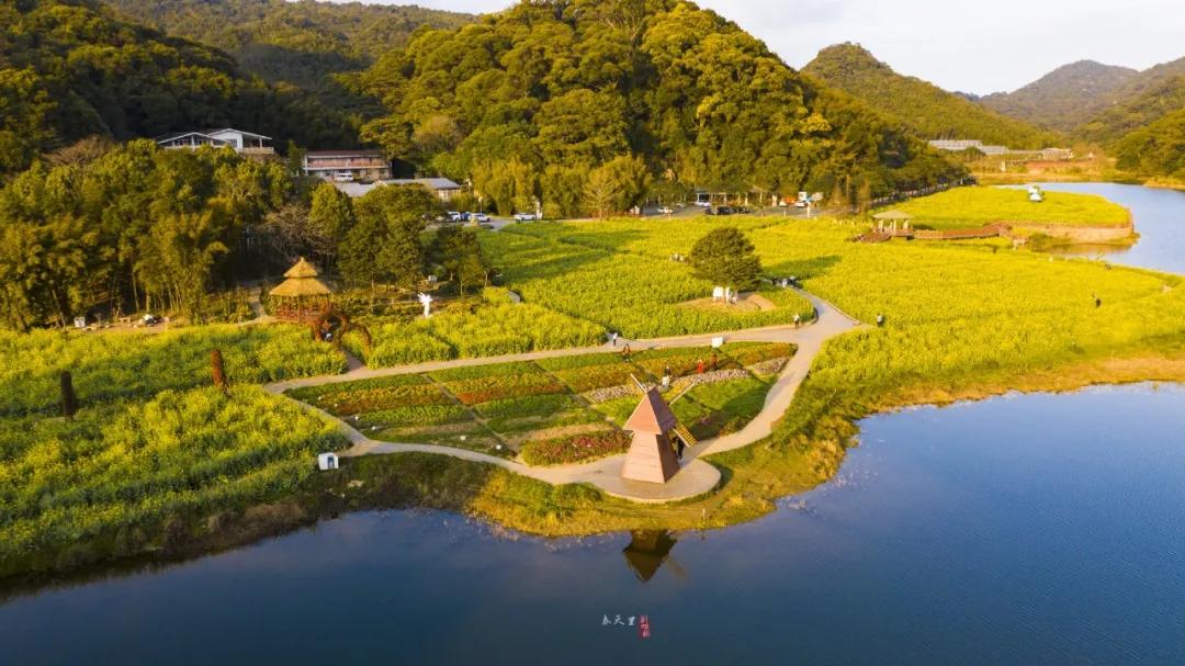 我是真的热啊,从化的天气有多冷