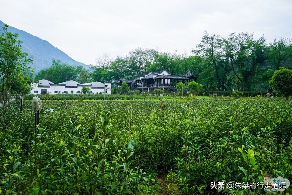 藏于深山人未识的天然氧吧,皖南最美的山乡石台