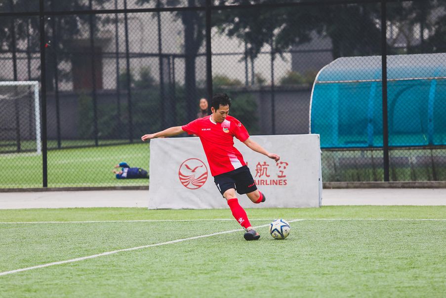 成都文旅熊猫馆直播,成都文旅官方直播