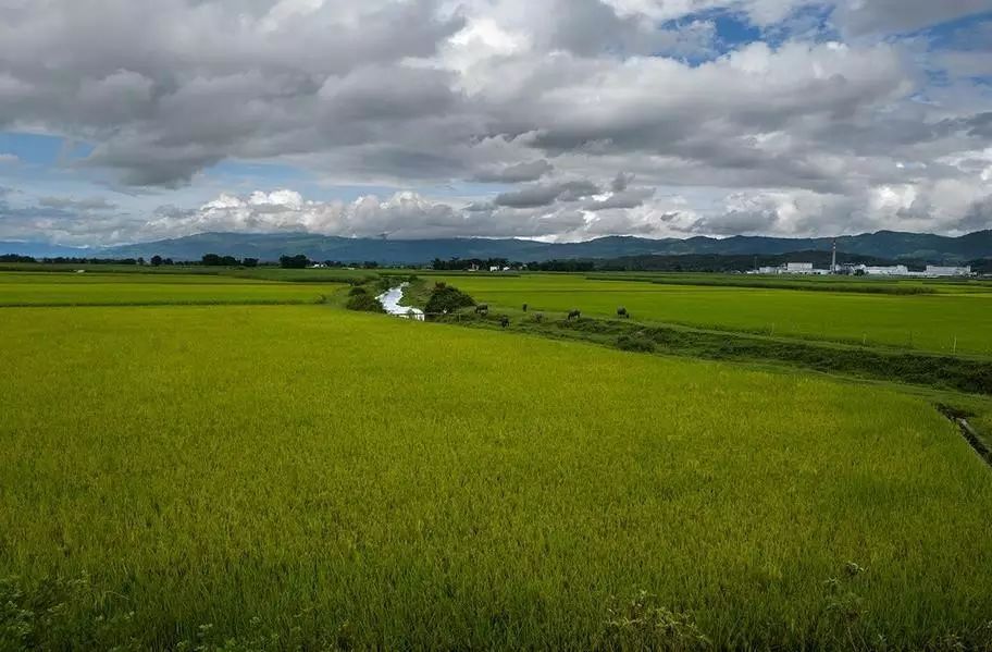 西南边境上的神秘潘多拉，比西双版纳还美，一不小心就出国