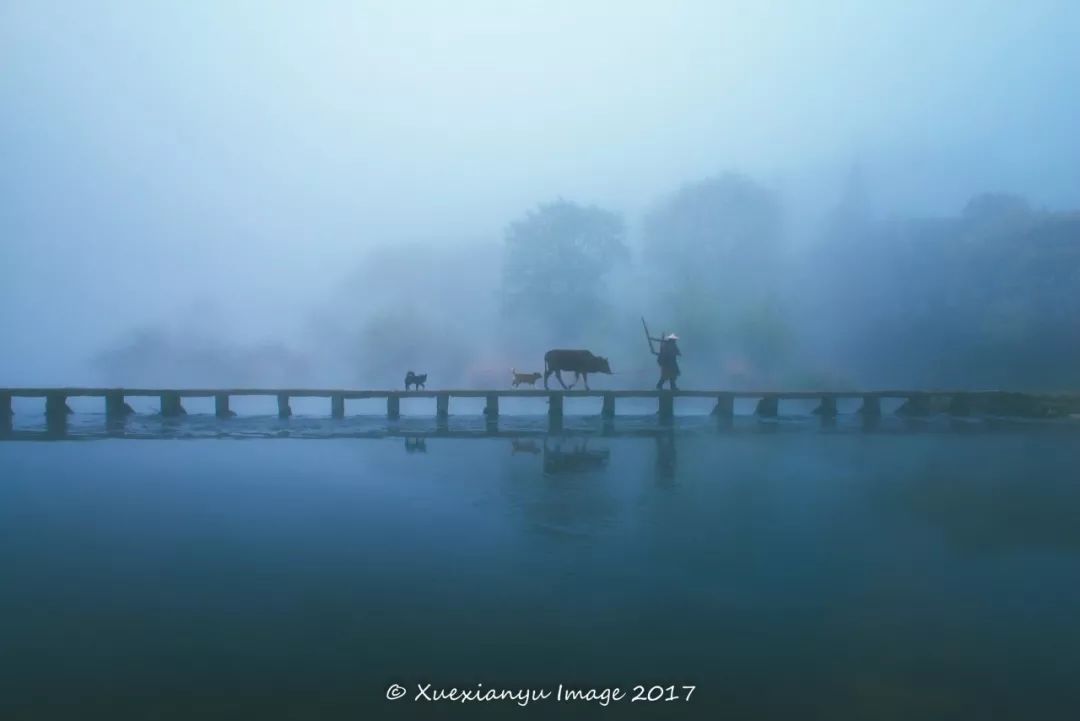 比乌镇安静比南浔古朴,藏不住了这里有最炫秋色