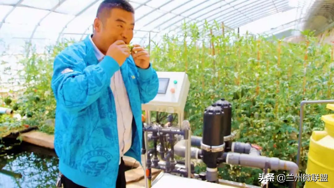 五一假日攻略西固,五一假日攻略兰州西固周边