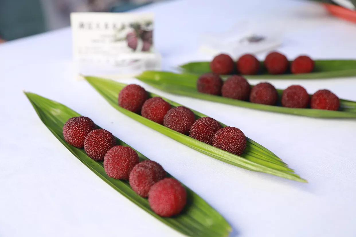 又到吃杨梅的时候,浙江吃杨梅的好去处