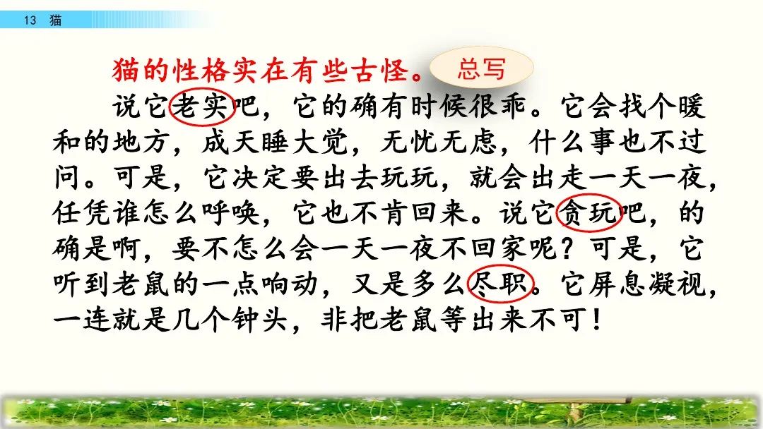 四年级下册语文13课猫课文解析,部编版四年级下册13猫教学视频