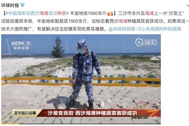 中国的种菜天赋要多离谱,中国种菜天赋惊呆外国人解说