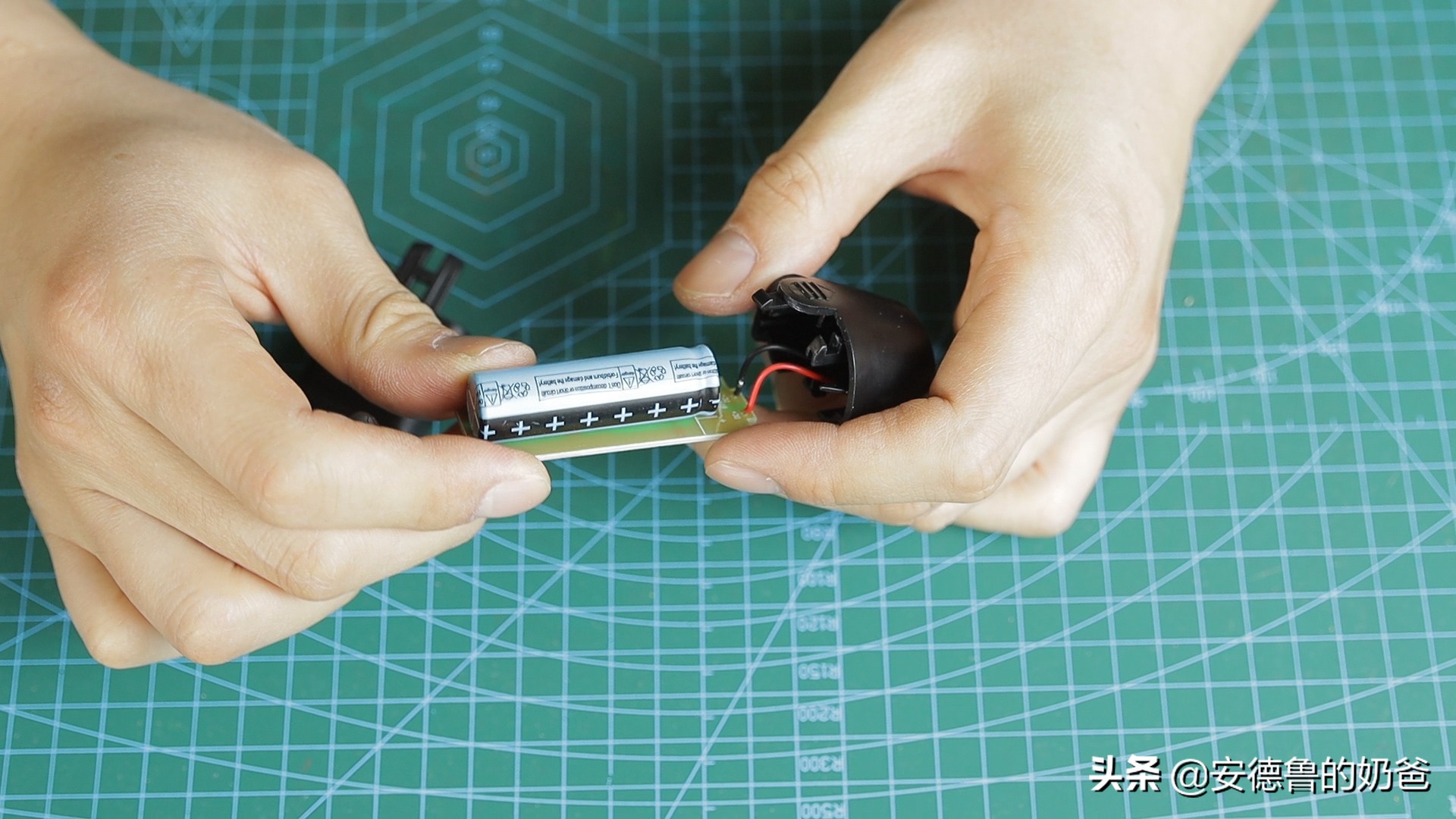 春日vlog完整版,春日vlog竖版