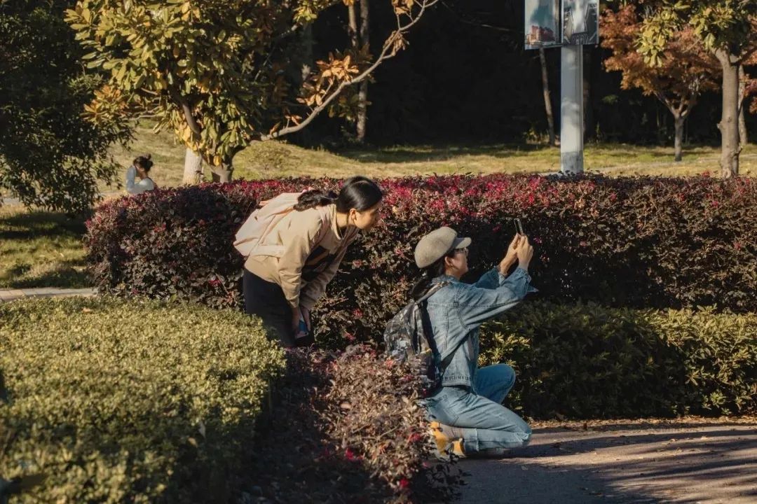 向往的生活1中的小院,精装版向往的生活