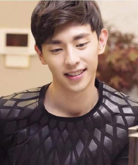 石家庄的明星男生,石家庄生活的男明星都有谁