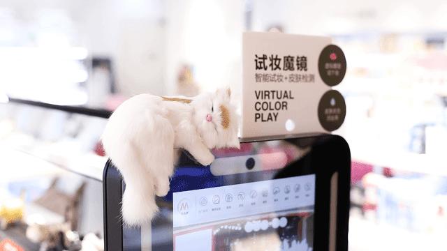 @所有猫控！万菱汇「猫咪美妆店」，任吸任摸！还有GD限量同款