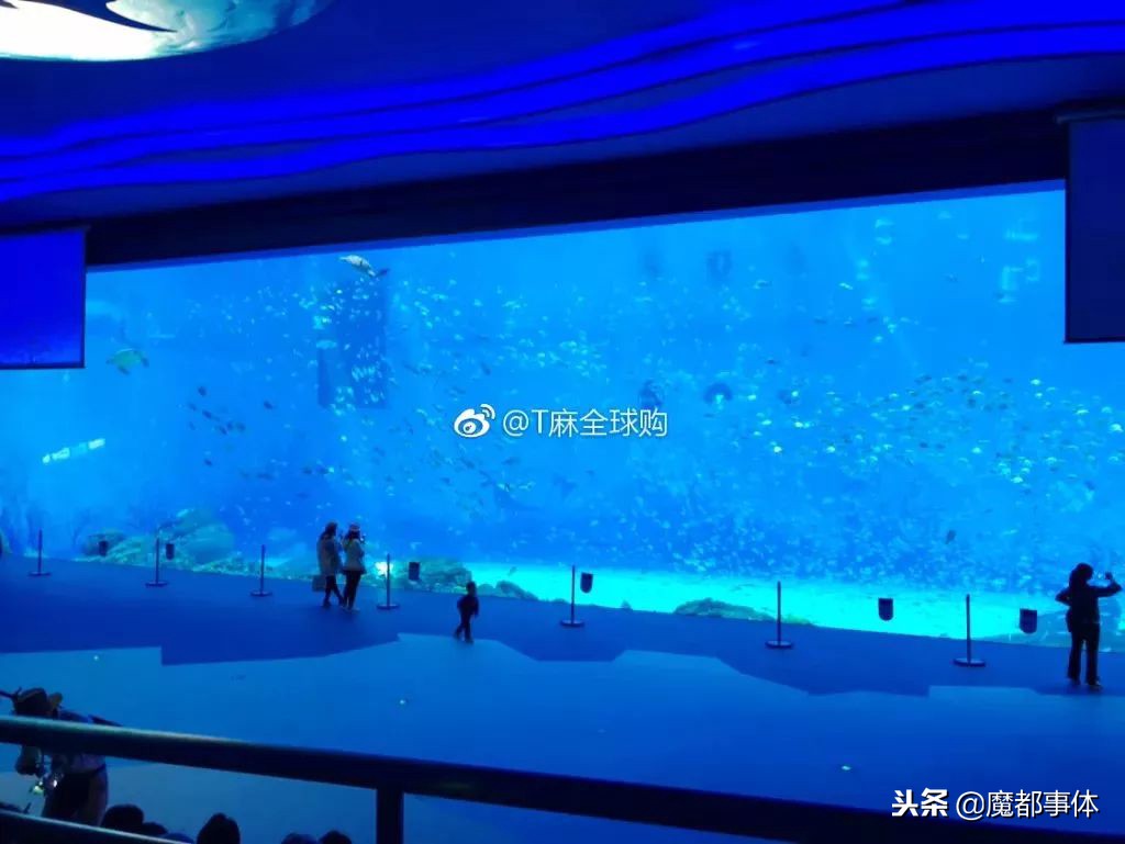 上海天安千树网红打卡点,上海打卡必去的地方排名