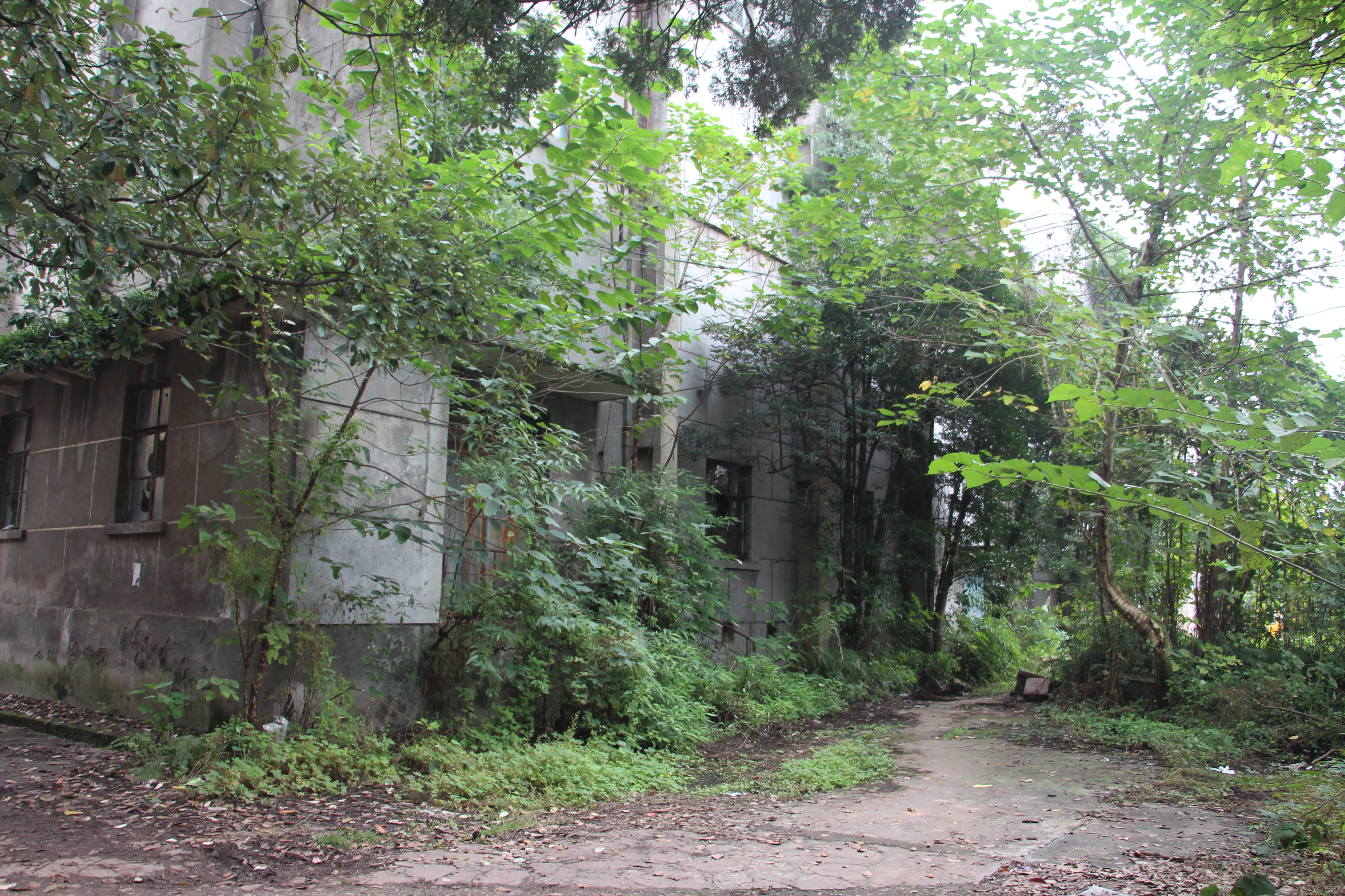 一座有光影又有历史的老厂――四川长征制药厂