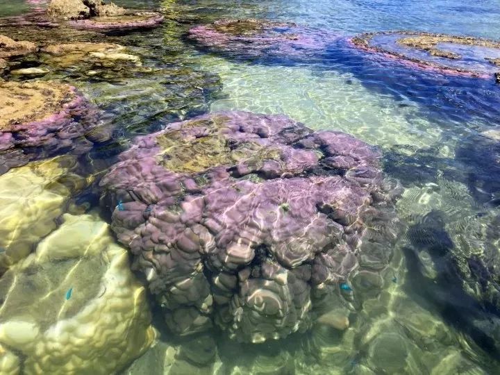 冲绳有啥,冲绳有没有啥