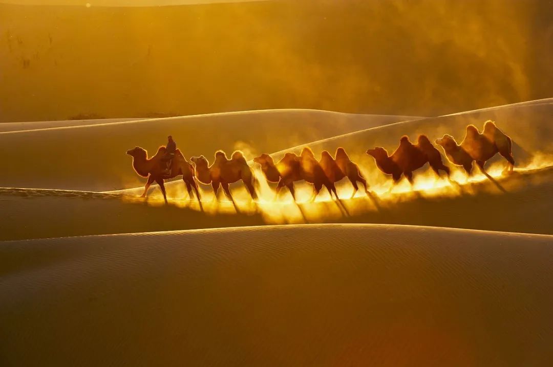 沙子迎来全球暴涨！普通人的财富保卫战，才刚刚开始