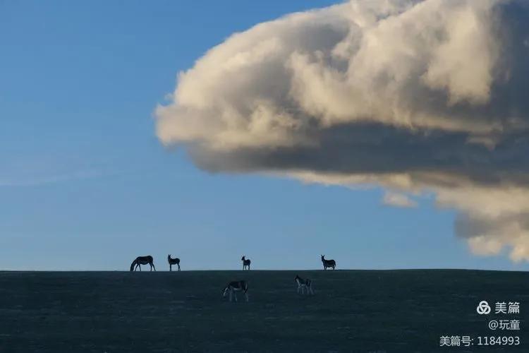 70岁的大爷用这篇游记告诉我们，阿里究竟值不值得去