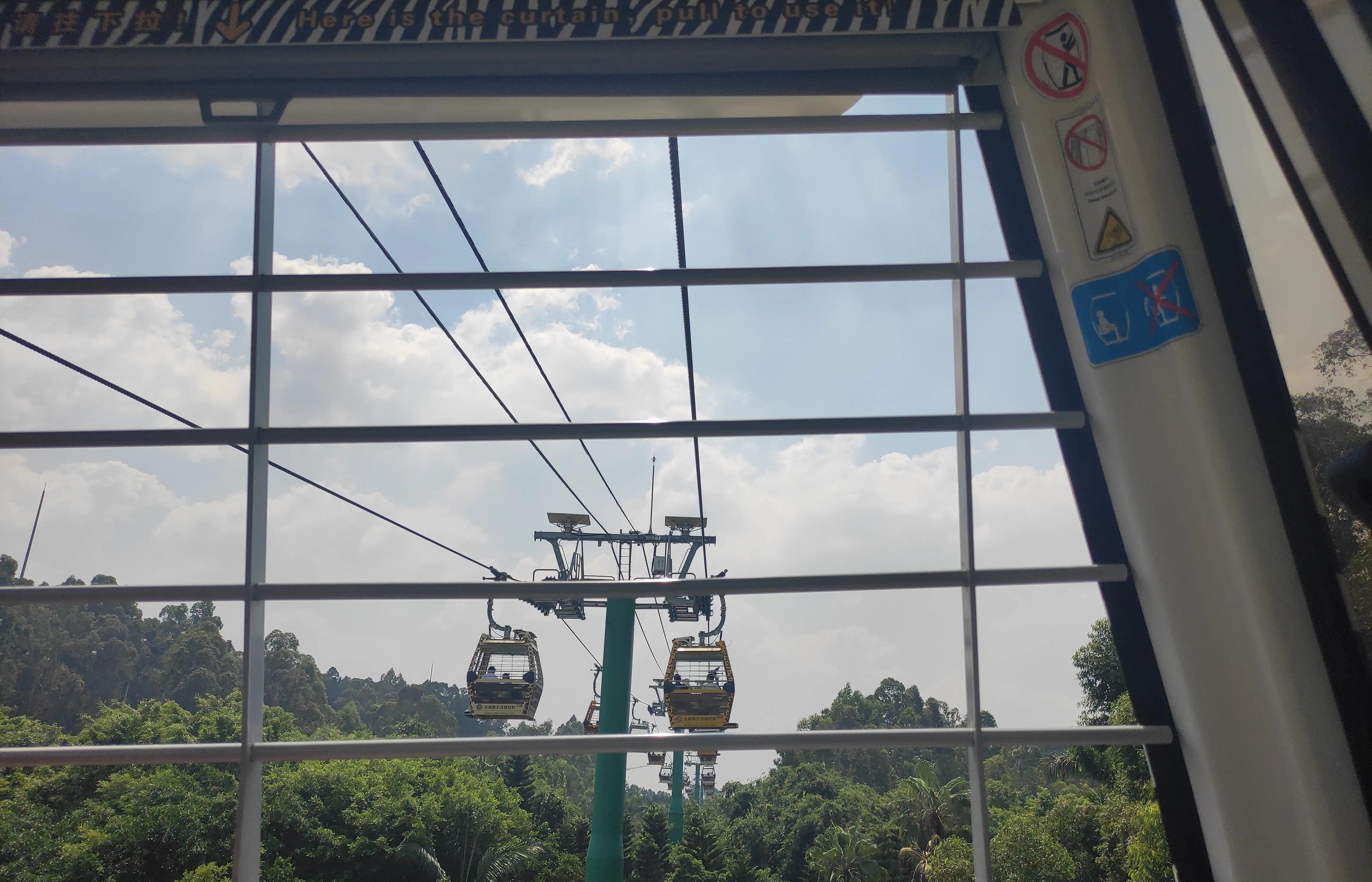 外地人去长隆野生动物园攻略,住在广州长隆野生动物园攻略