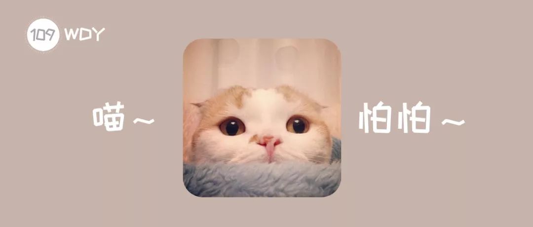 猫咪被跳蚤咬了还有救吗,猫咪身上被跳蚤咬了能体外驱虫吗