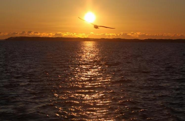 日本茨城观光之旅视频,从东京可以一日游去日本茨城玩