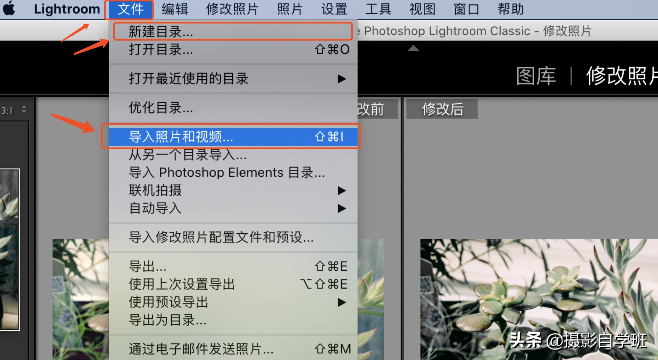 灰色显高级发色,高级灰风格照片的特点和调色方法