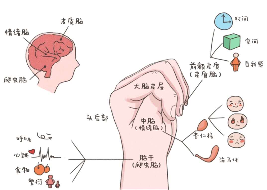 提高学习成绩的小秘密#心理咨询师说#