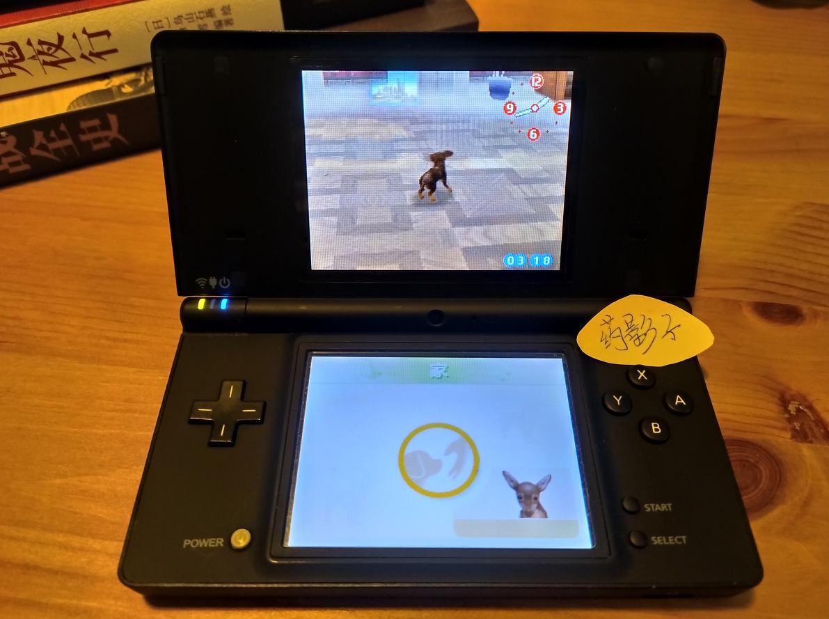 影子杂说：逗猫遛狗之际，还记得曾经藏在兜里的电子宠物吗？