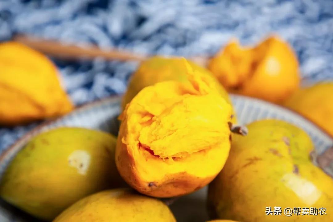 闀垮湪鏍戜笂鐨勭孩钖浮铔嬫灉,闀垮湪鏍戜笂鐨勯浮铔嬫灉